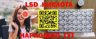 стаф Бийск