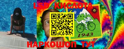 стаф Бийск