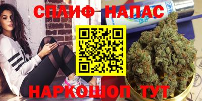 стаф Бийск