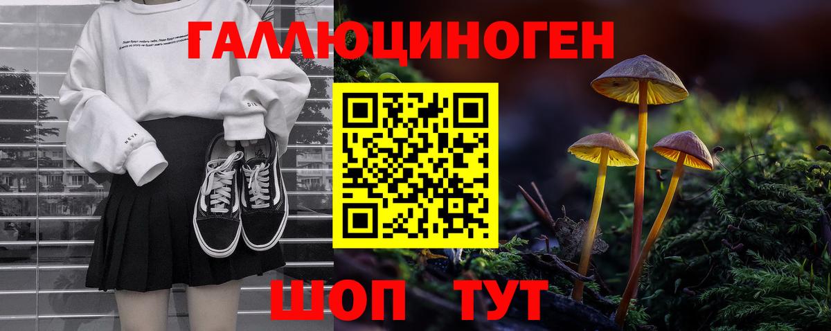 Галлюциногенные грибы Psilocybe  сколько стоит  Псилоцибиновые грибы Psilocybine cubensis  Вязники  Вход с VPN 