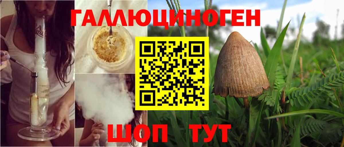 Галлюциногенные грибы Cubensis Вязники